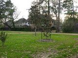 Glenmore Forest park 8000 Wingo Houston, Texas 77055 (22).JPG